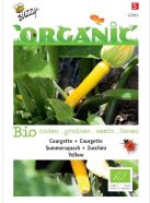 Courgette Yellow ORGANIC Seeds